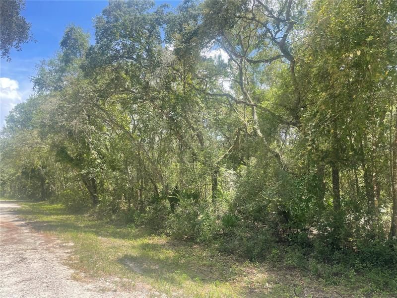 Recently Sold: $29,900 (1.16 acres)