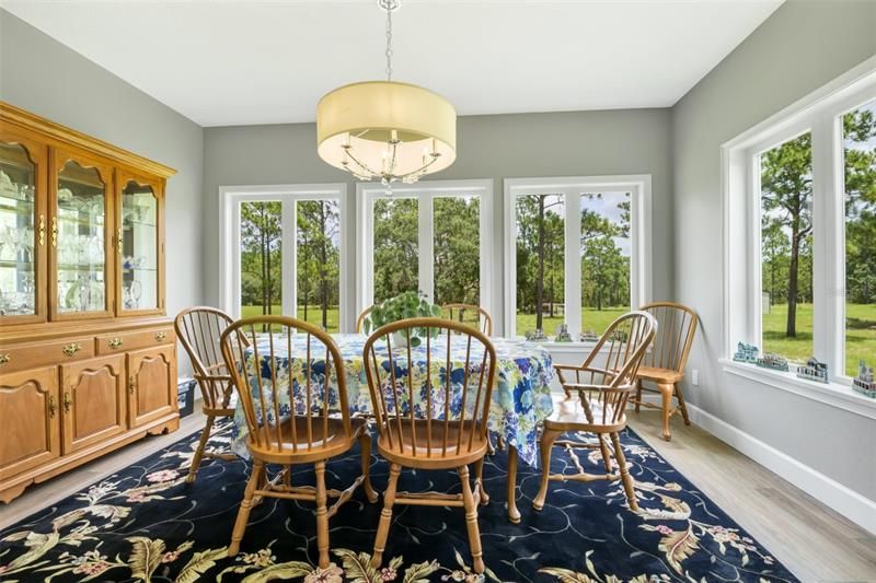 SERENE VIEW FROM DINING AREA