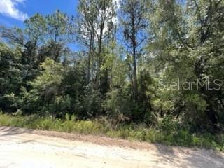 Vendido Recientemente: $14,500 (1.19 acres)