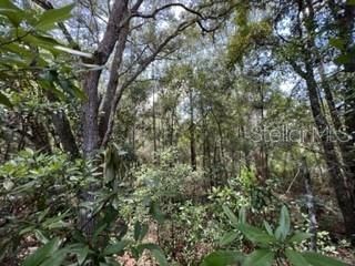 Vendido Recientemente: $14,500 (1.19 acres)