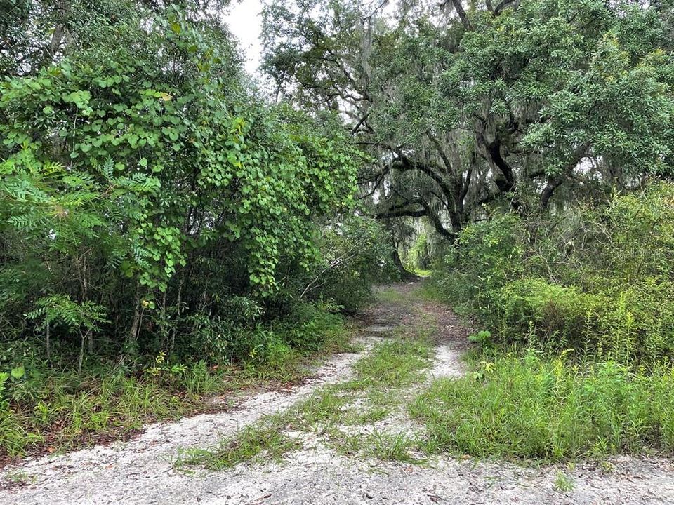 Recently Sold: $9,900 (4.00 acres)