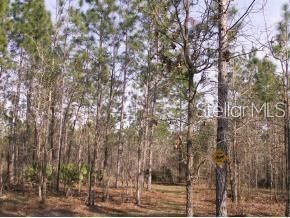 Recently Sold: $280,000 (20.00 acres)