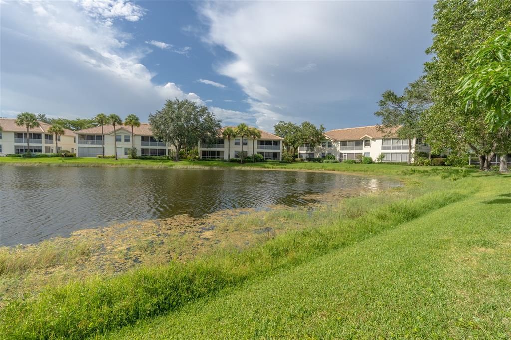 Pond View