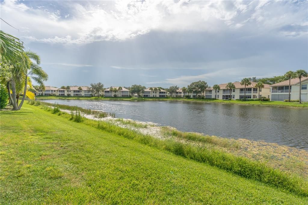 Pond View