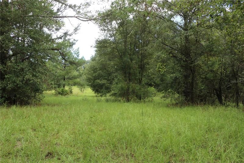 Recently Sold: $78,616 (12.68 acres)