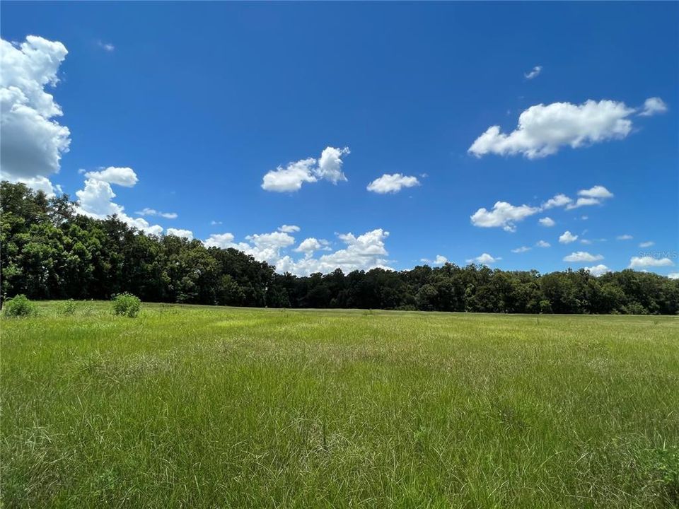 Active With Contract: $2,490,000 (34.00 acres)