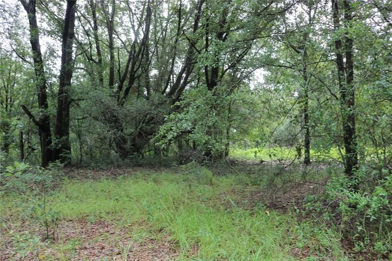Recently Sold: $78,802 (12.71 acres)