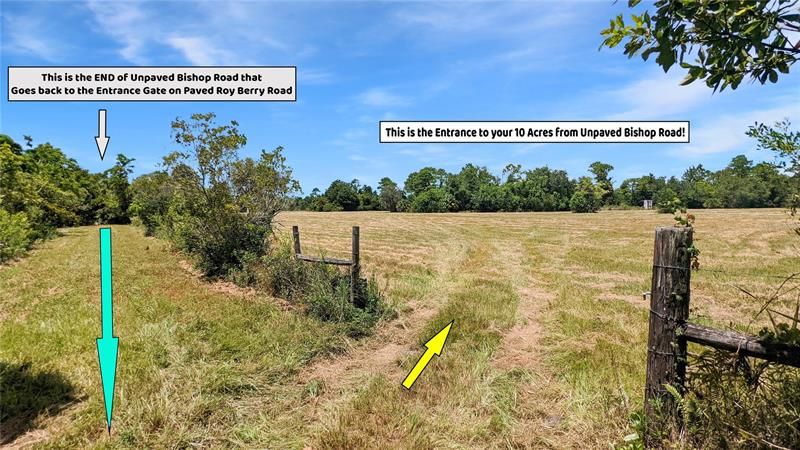 This at the White arrow is the END of unpaved BISHOP Road, with the Gated Access off Paved Roy Berry a few hundred Yards Behind  you! The Yellow Arrow is Your Access to Your 10 Acres, on the Southeast Corner of your Property!