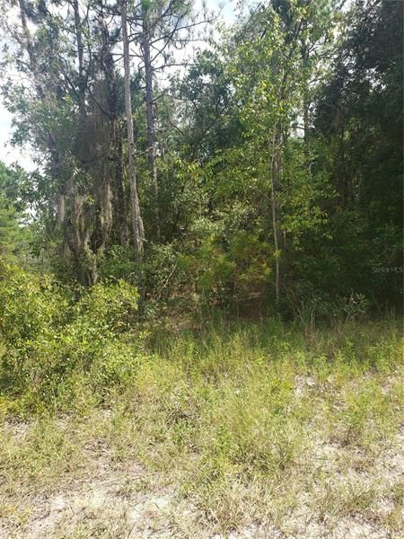 Recently Sold: $5,900 (0.29 acres)