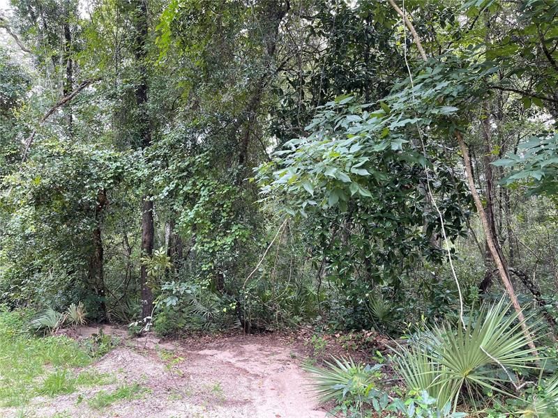 Vendido Recientemente: $22,500 (0.34 acres)