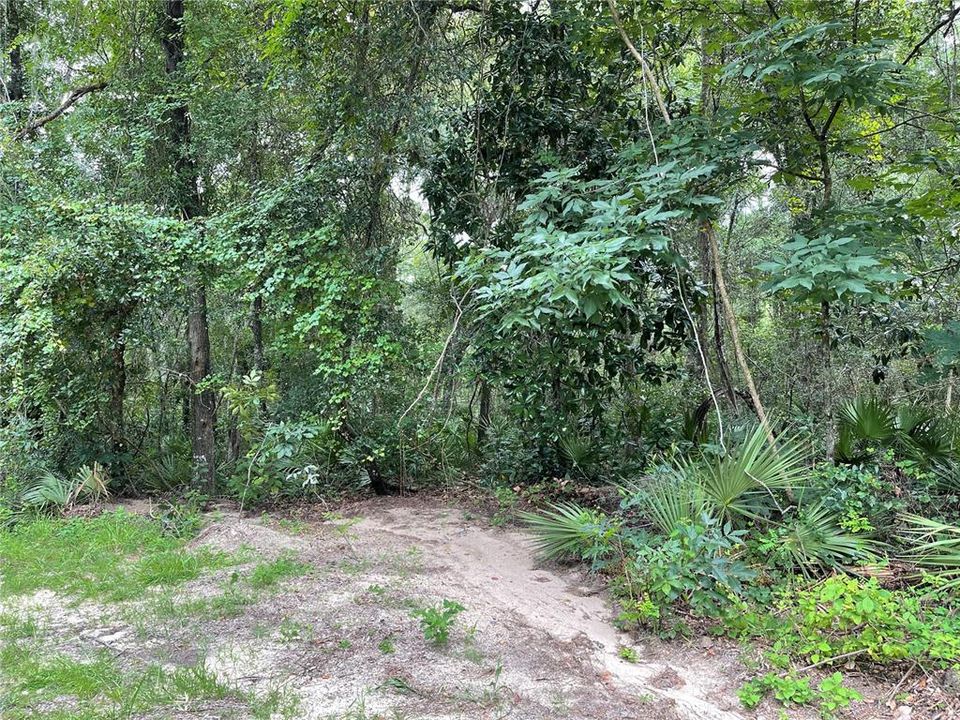 Vendido Recientemente: $22,500 (0.34 acres)