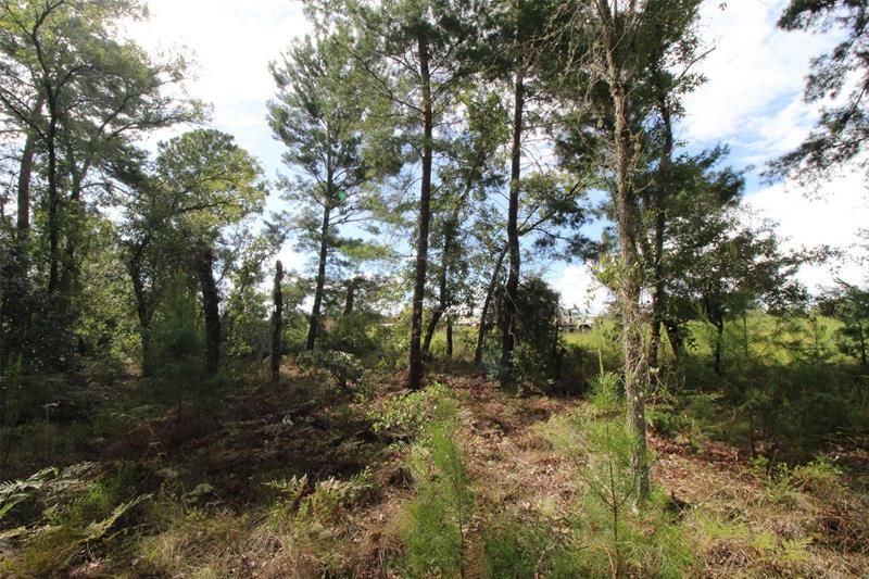 Vendido Recientemente: $32,000 (1.07 acres)