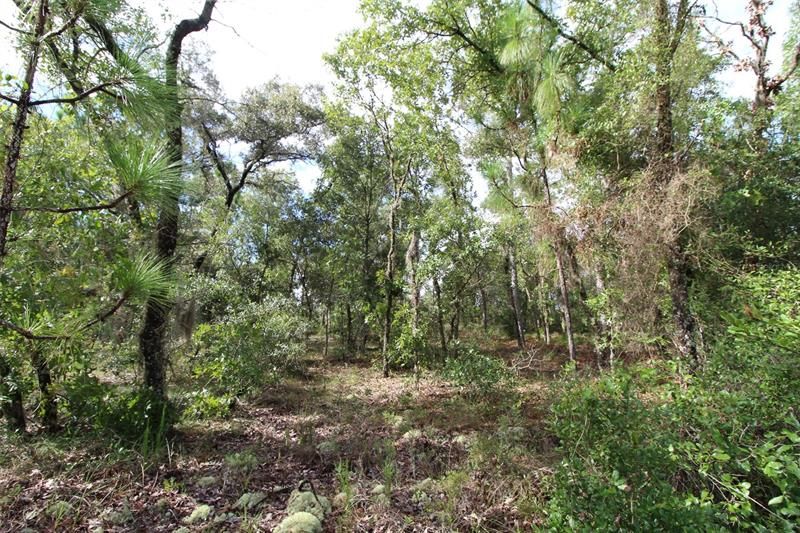Recently Sold: $32,000 (1.07 acres)