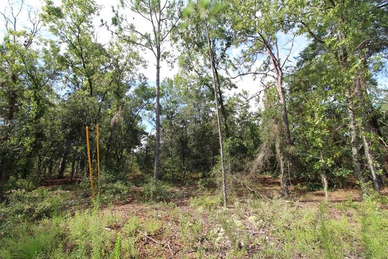 Vendido Recientemente: $32,000 (1.07 acres)