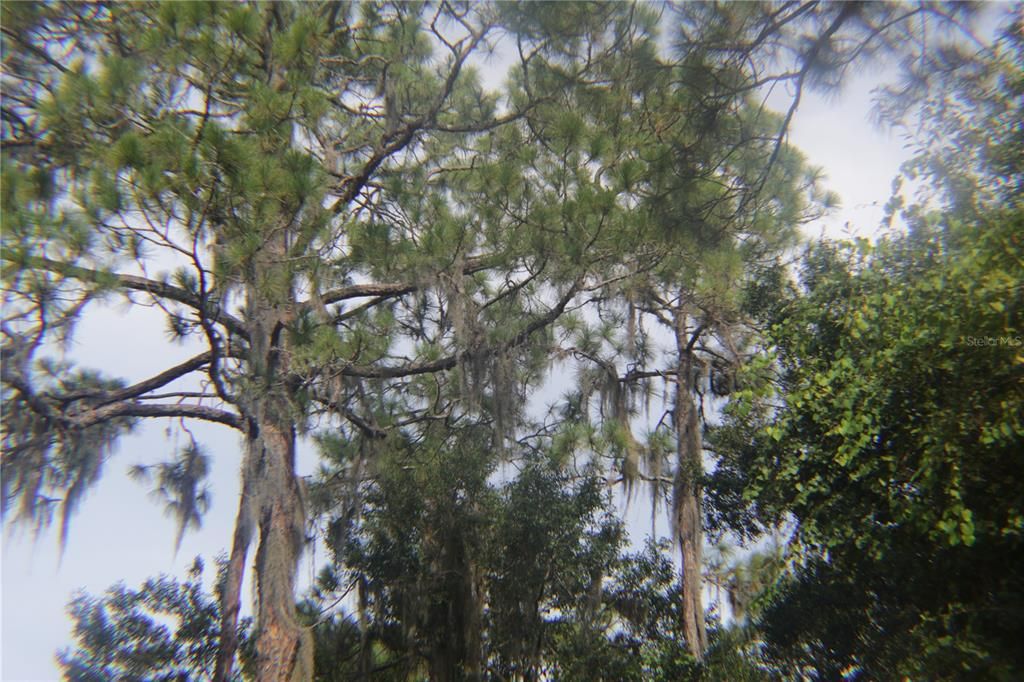 На продажу: $389,000 (2.12 acres)