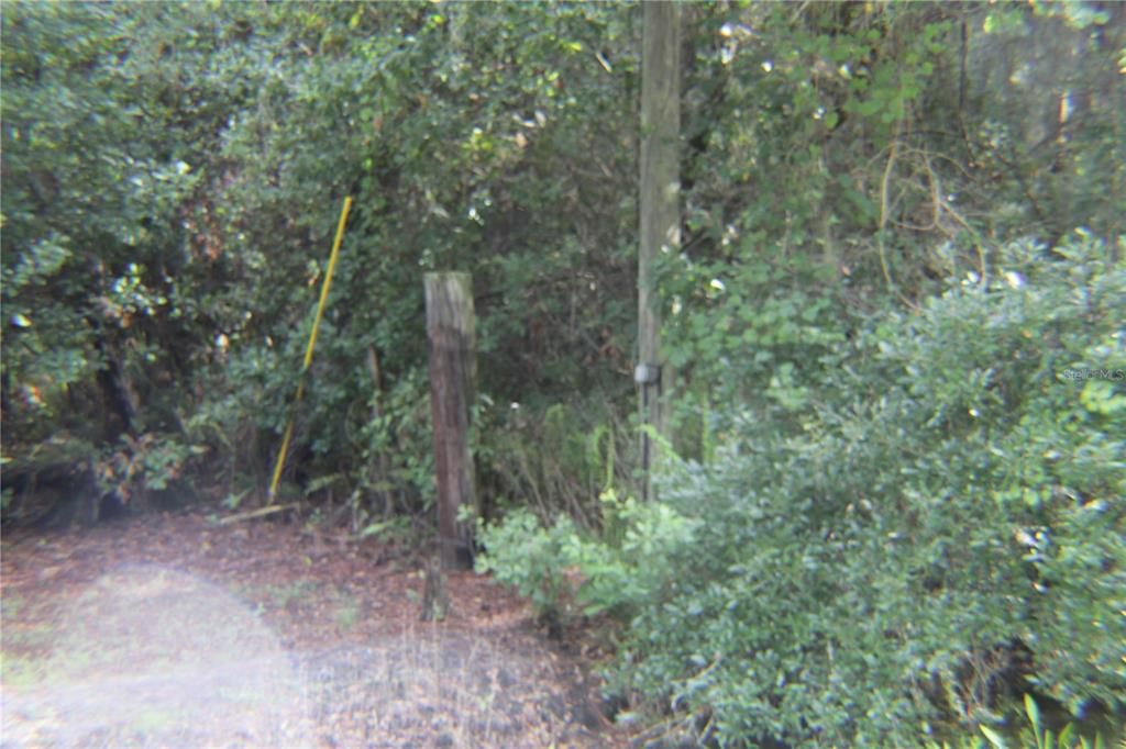 POST SHOWING WEST SIDE OF PROPERTY LINE