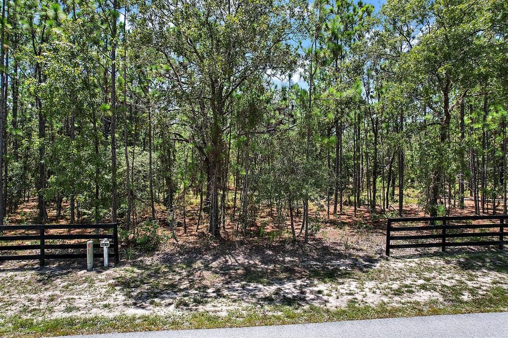 Recently Sold: $250,000 (4.66 acres)