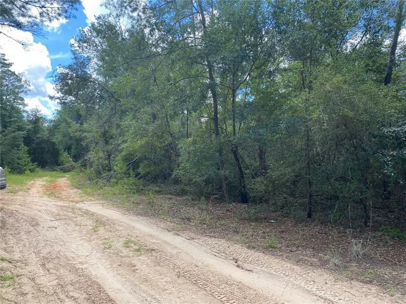 Recently Sold: $36,000 (2.85 acres)