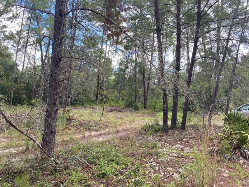 Recently Sold: $36,000 (2.85 acres)