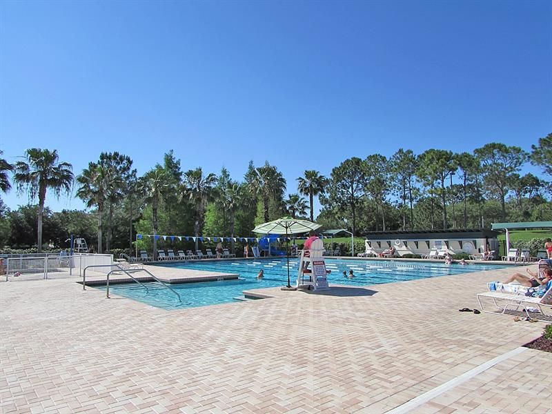 Westchase Community Pool