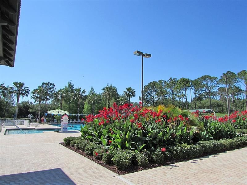 Westchase Community Pool