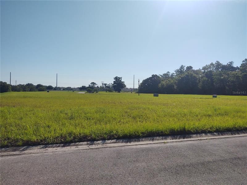 Recently Sold: $20,500 (0.04 acres)