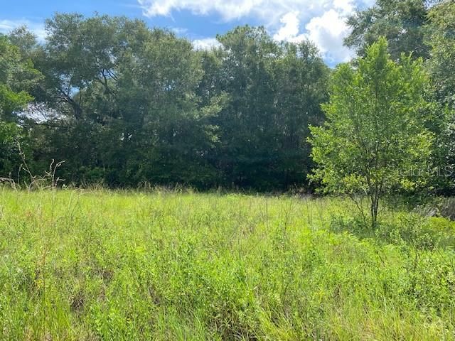 Recently Sold: $55,000 (1.92 acres)