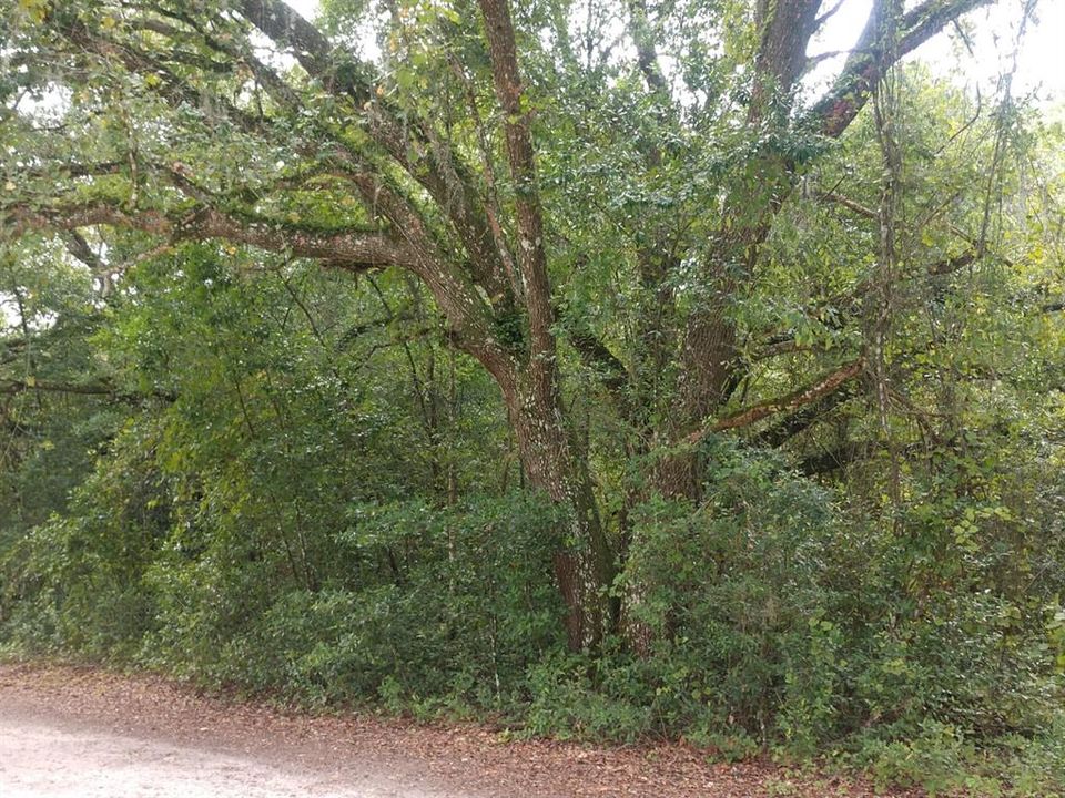 Vendido Recientemente: $69,900 (1.87 acres)