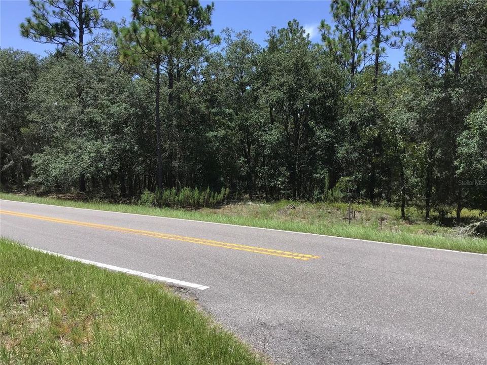 View from SW Little Cliffs Dr.