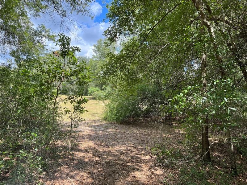 Recently Sold: $62,900 (5.00 acres)