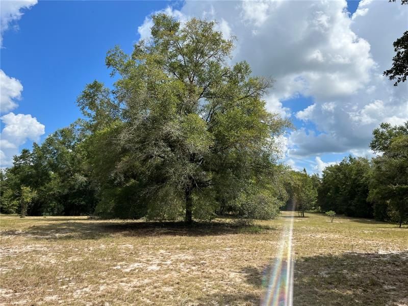 Recently Sold: $62,900 (5.00 acres)