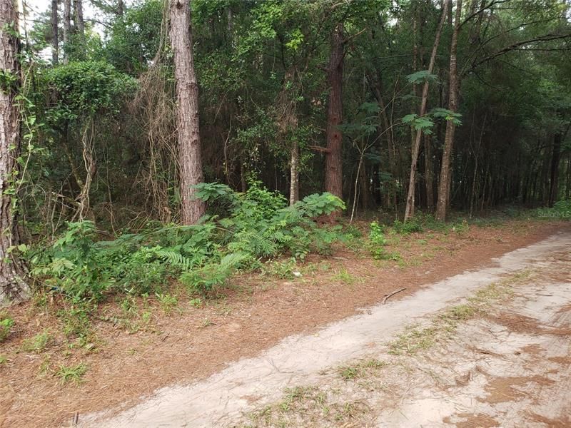 Active With Contract: $11,000 (0.22 acres)