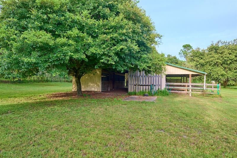 Three stall barn on back of property-property cross fenced