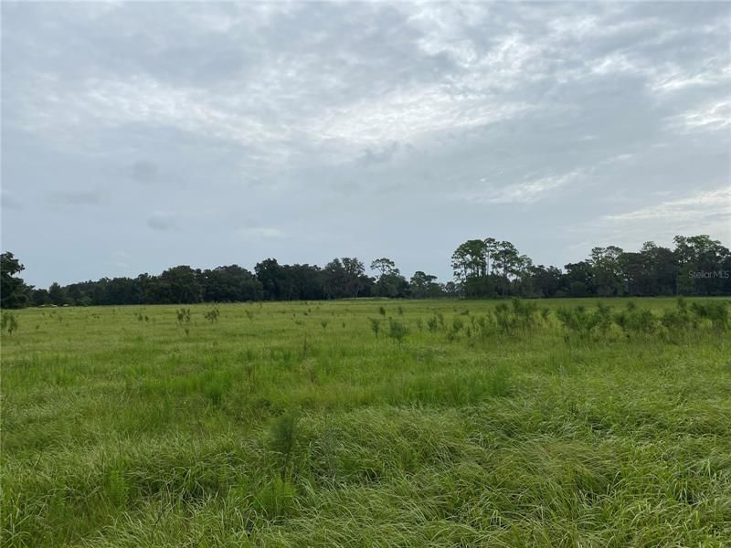 Recently Sold: $235,000 (10.58 acres)