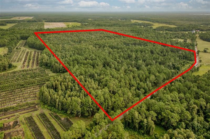 Недавно продано: $454,999 (49.94 acres)