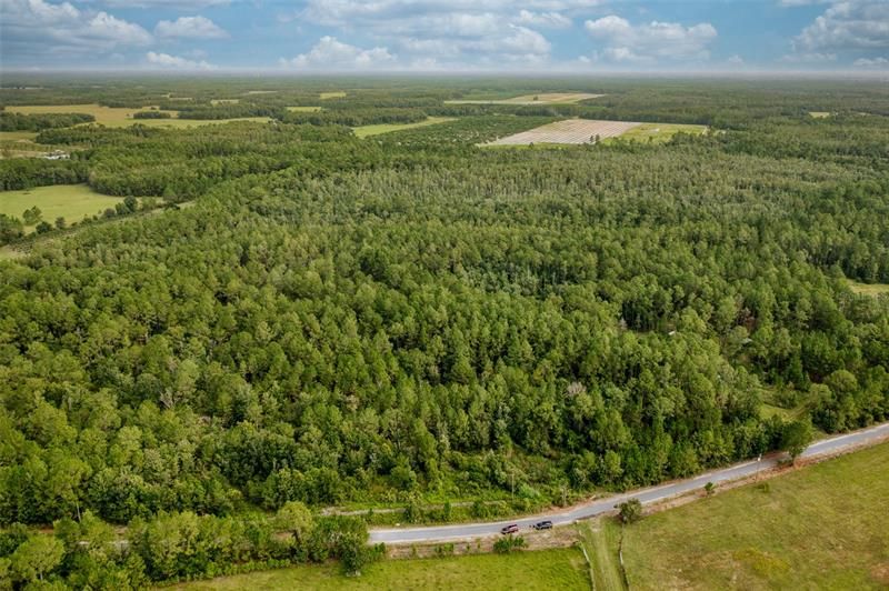 Vendido Recientemente: $454,999 (49.94 acres)