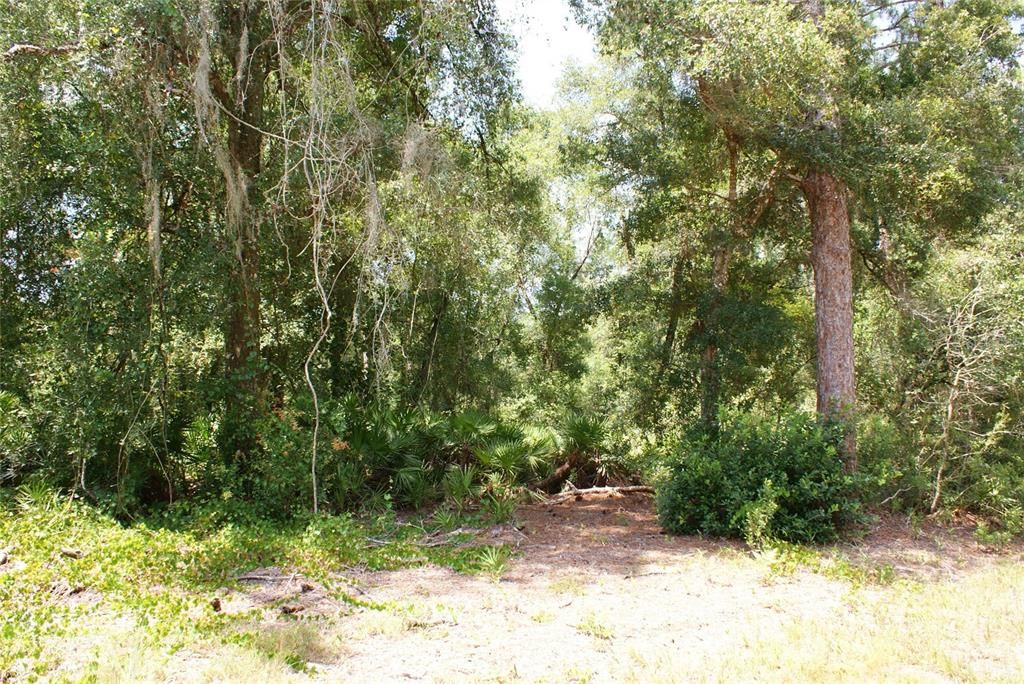 Recently Sold: $185,000 (9.50 acres)