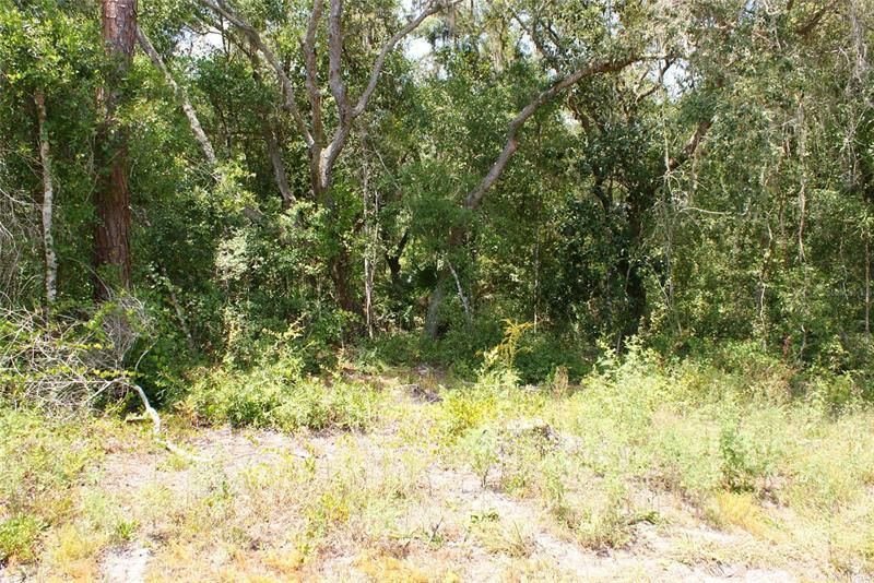 Recently Sold: $185,000 (9.50 acres)