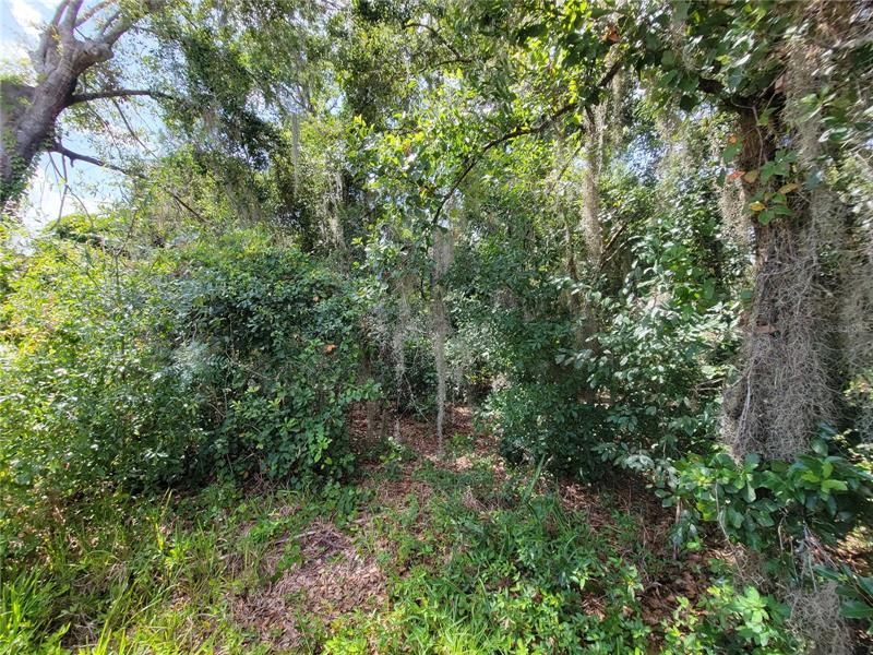 Recently Sold: $24,900 (0.30 acres)