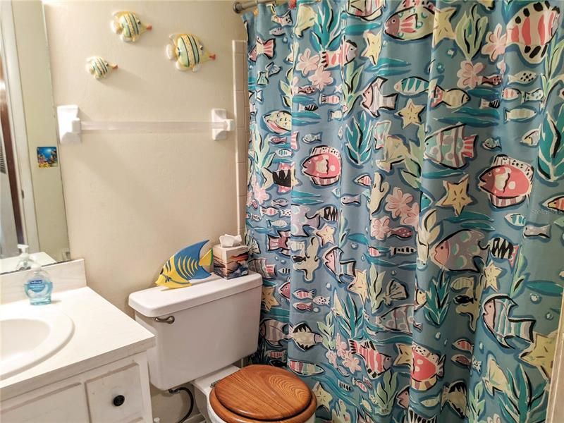 Guest bathroom - tub/shower