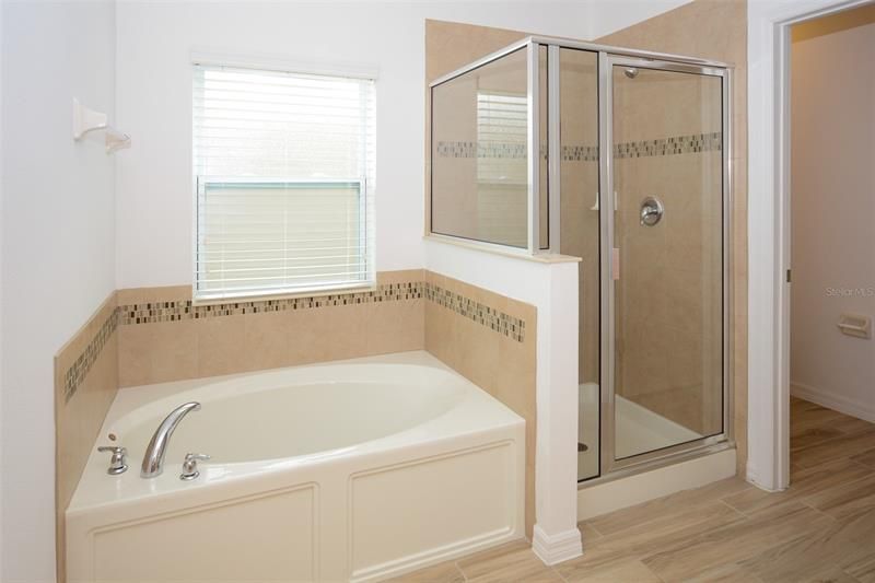Primary Bathroom with Tub and Separate Shower