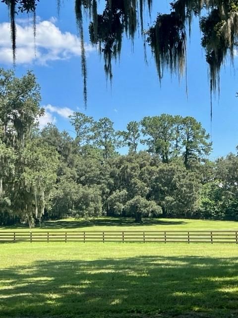 Rolling Pasture