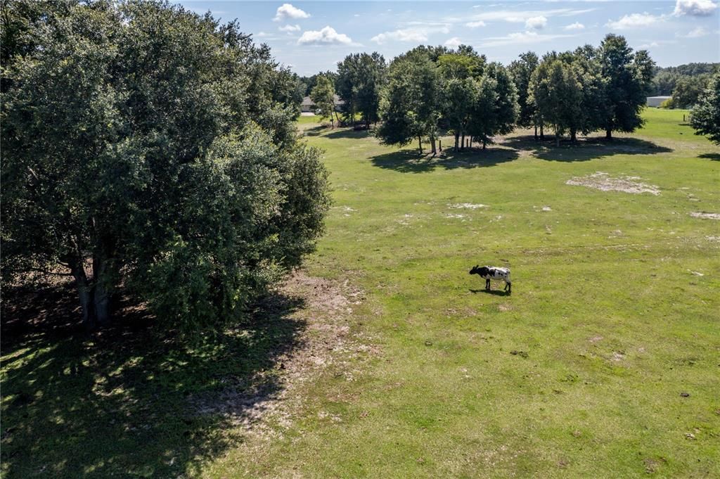 For Sale: $5,100,000 (13.94 acres)