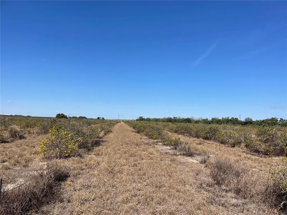 For Sale: $998,865 (73.99 acres)