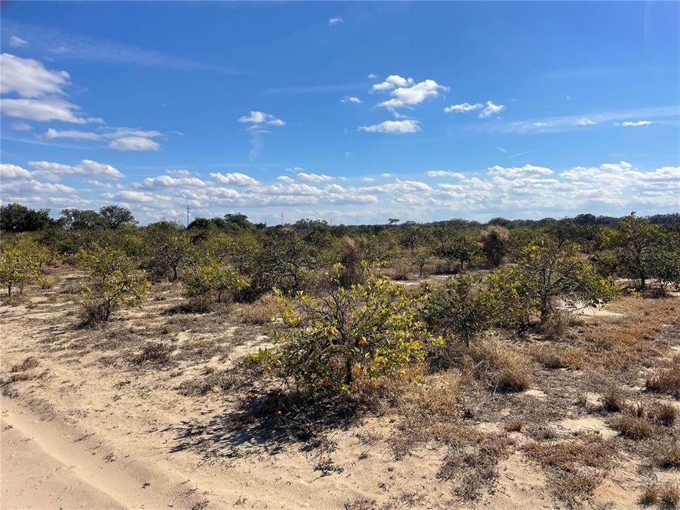 For Sale: $998,865 (73.99 acres)