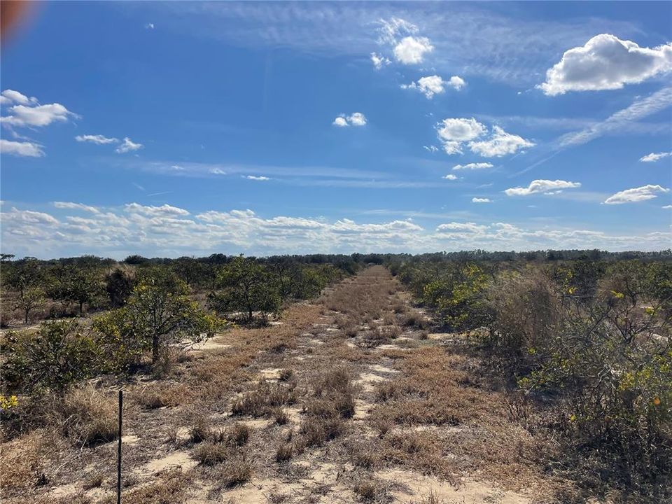For Sale: $998,865 (73.99 acres)