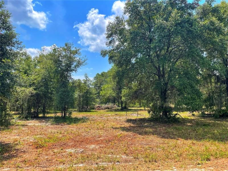 Recently Sold: $125,000 (9.83 acres)