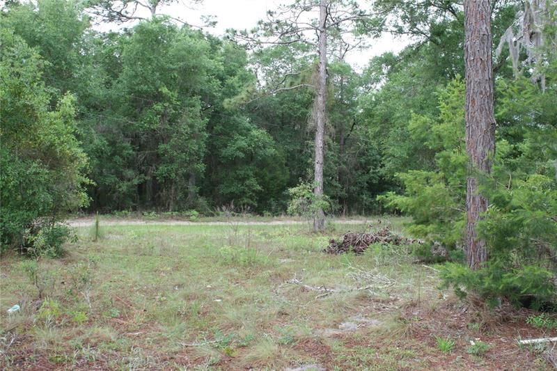 Recently Sold: $49,500 (5.65 acres)