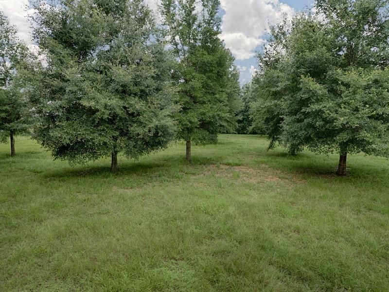 Недавно продано: $135,000 (5.53 acres)