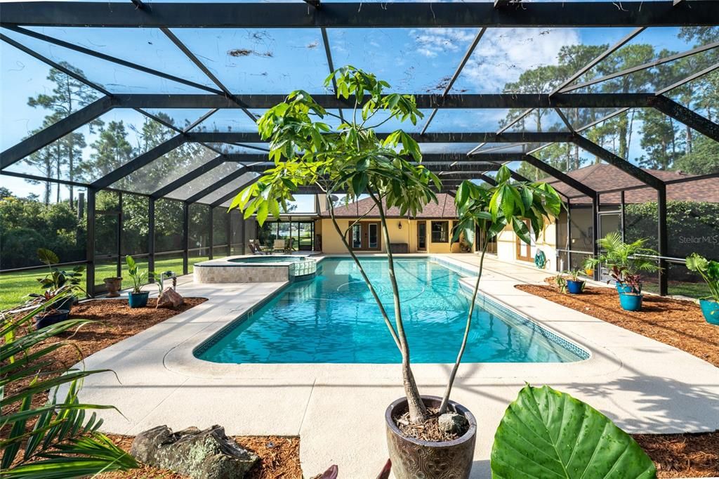 Hard to find a pool that is this big! It's approx. 20 ft. W X 48 ft. long. Views of Buck Lake can be seen from the pool enclosure.